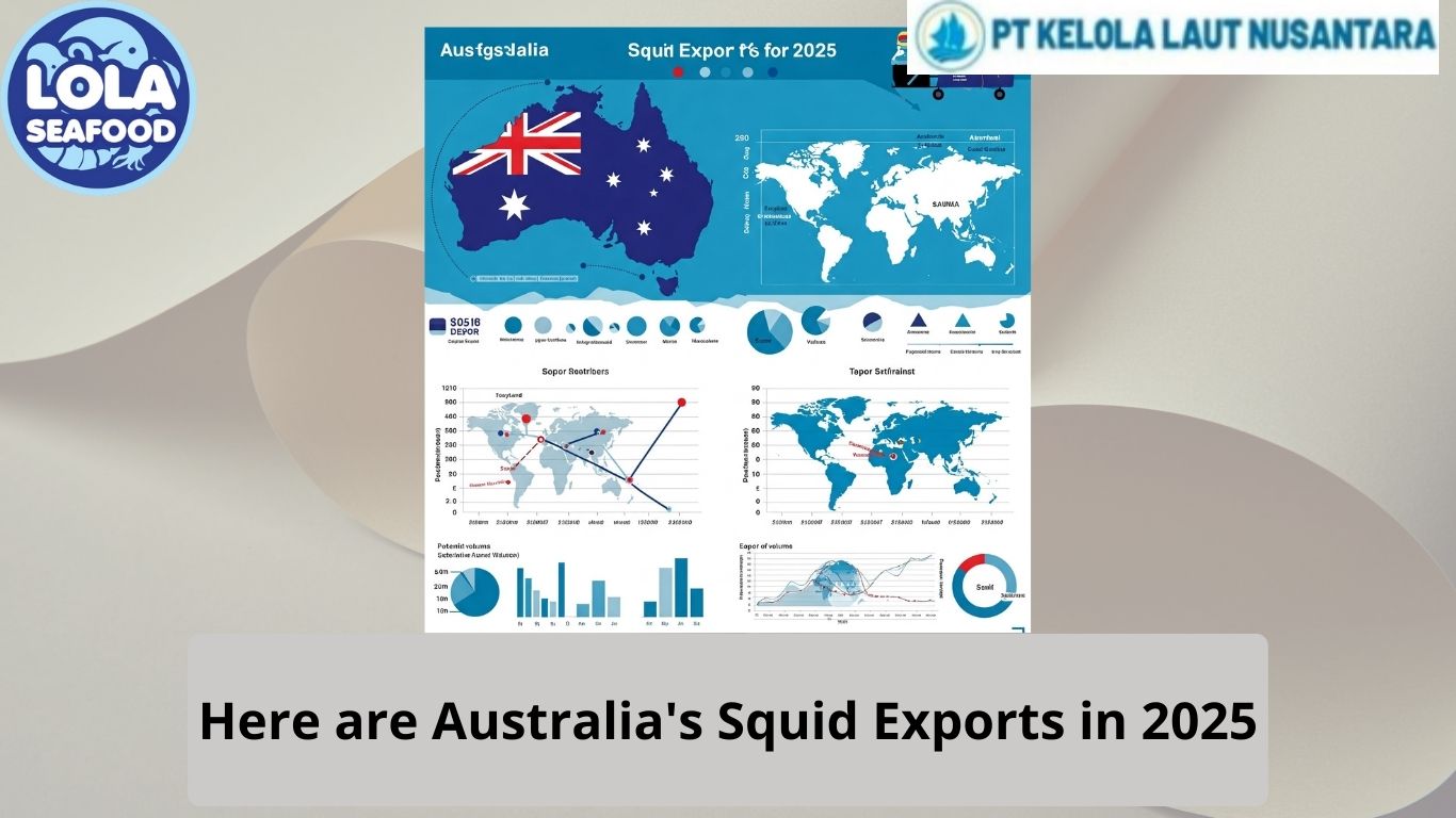 Here are Australia's Squid Exports in 2025